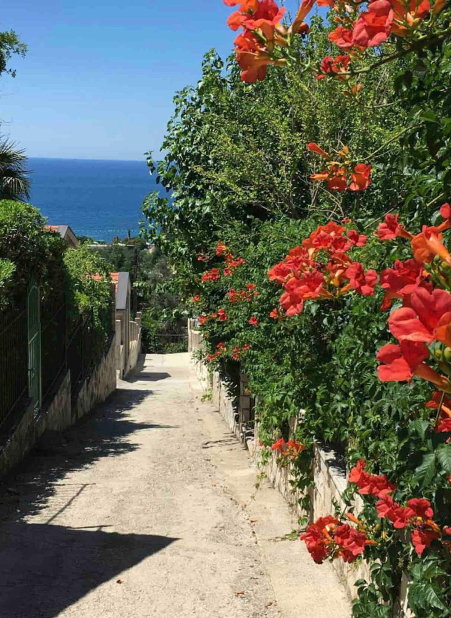 Bay View Apartments Petrovac Eksteriør billede
